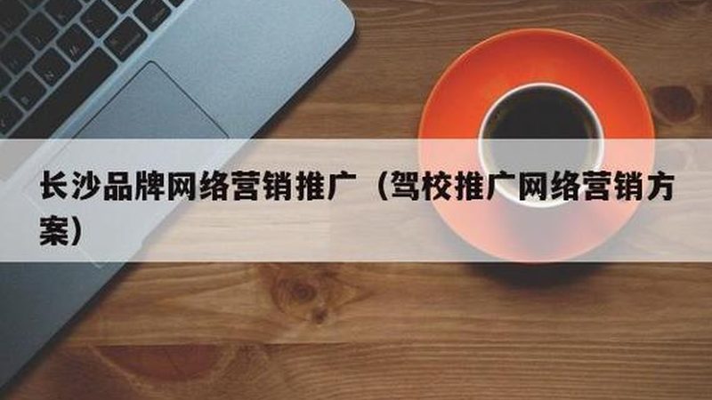 SEO优化流程：揭秘专业代理的操作步骤